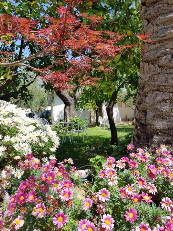 Elianti Bed & Breakfast Mattinata